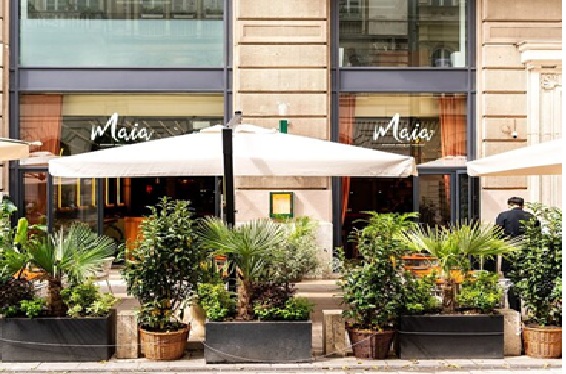 Maia Mexican Restaurant