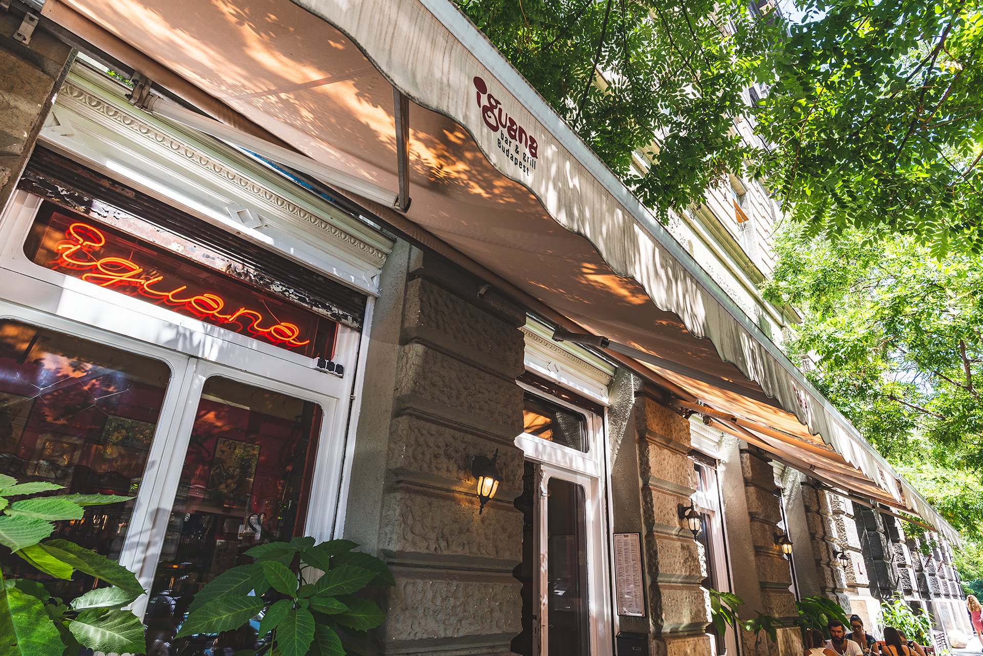 Iguana Bar & Grill