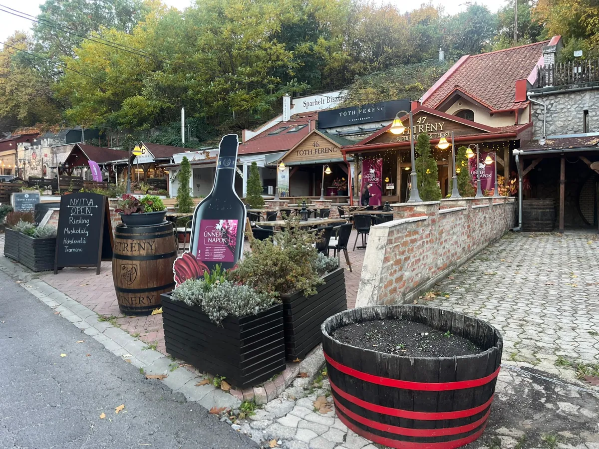 Outdoor wine tasting at the Eger vintage days