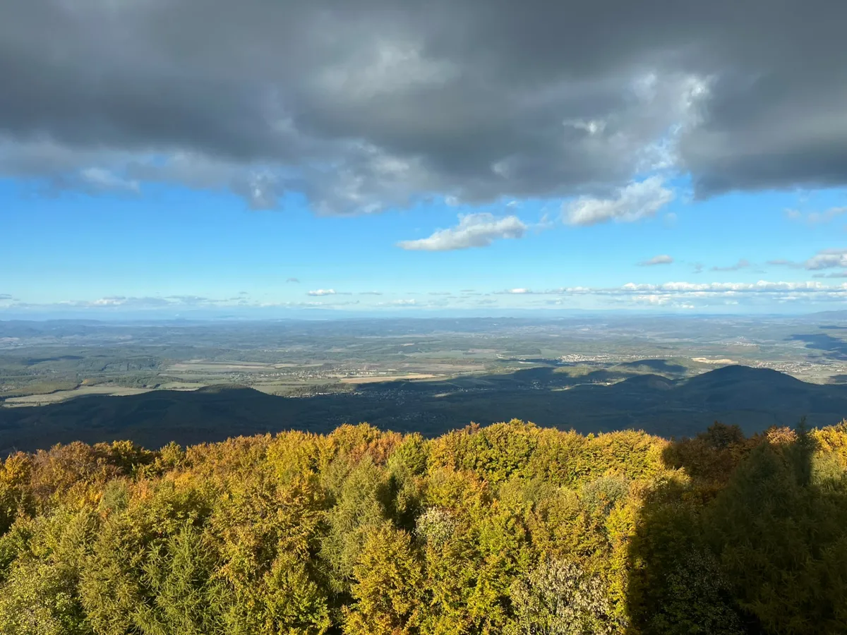Autumn forest view from Kékestető, Hungary's highest point